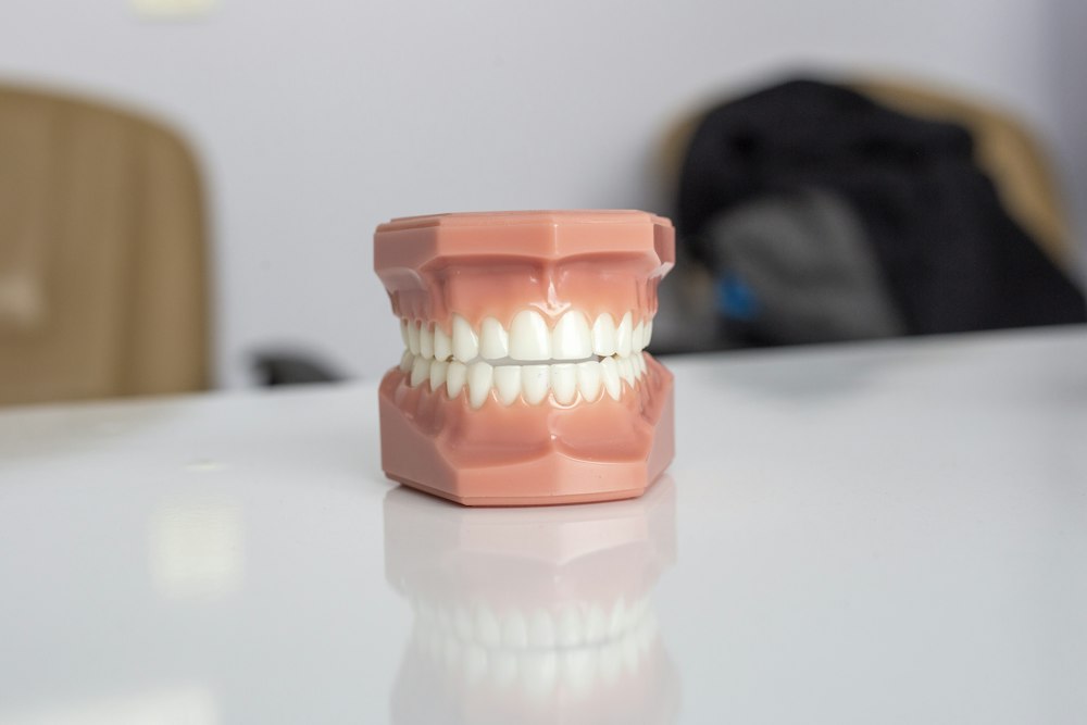Modelo dental completo sobre una mesa